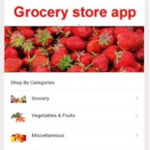 Webprogr grocery app development