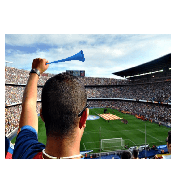 Vuvuzila in sports team