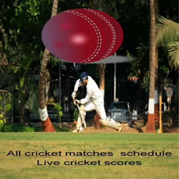 cricket matches app