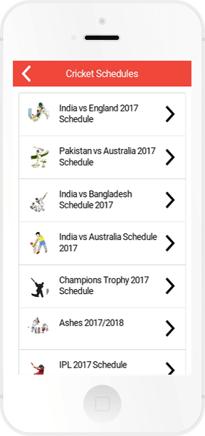 cricket result